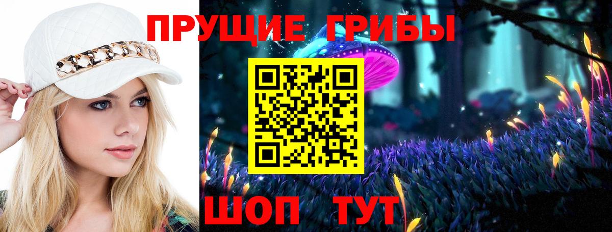 Каспийск  Псилоцибиновые грибы Cubensis  Вход с VPN 
